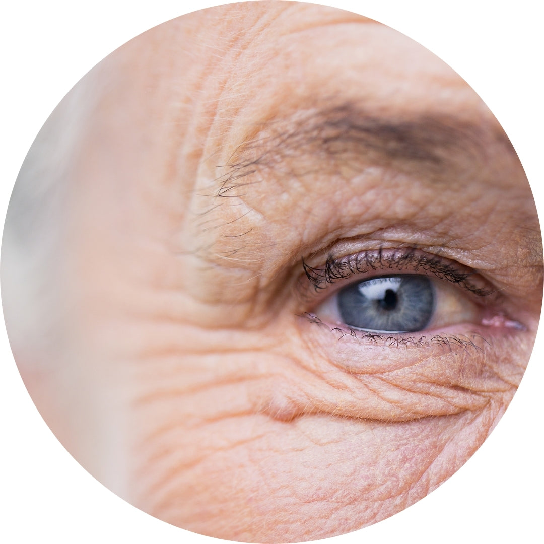 Anti-Falten Starter Set - Glowholic Micro-Needling Infusion für zuhause